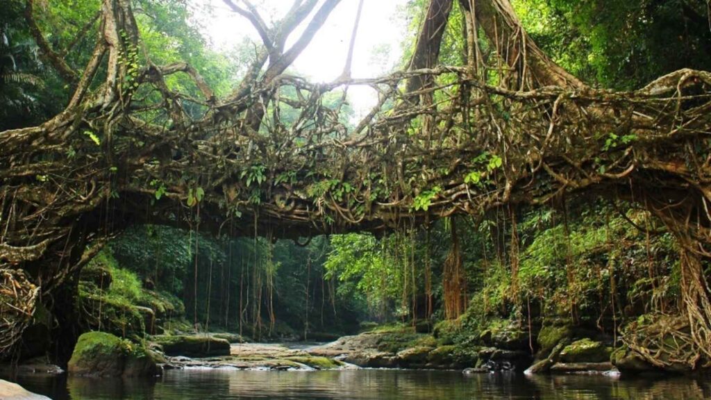 Mawlynnong, Meghalaya